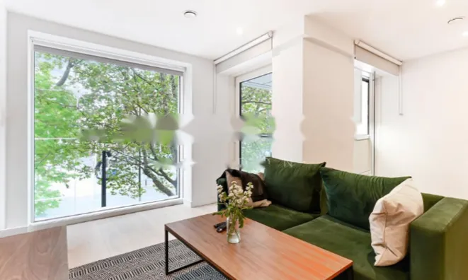 Недвижимость Hurlock Heights, Elephant & Castle: 7