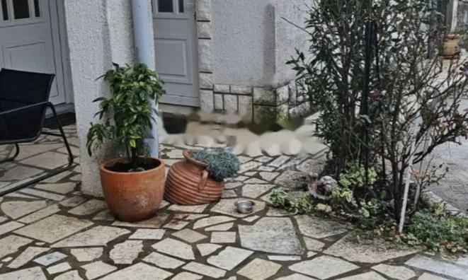 Недвижимость Квартира Оприч, Опатия: 13