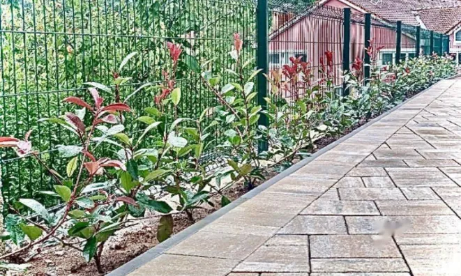 Недвижимость Четырехкомнатная квартира Вольоско: 17