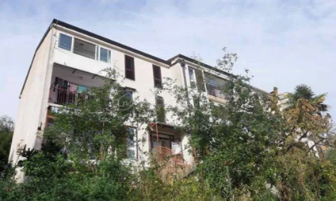 Недвижимость Трехкомнатная квартира в центре: 11