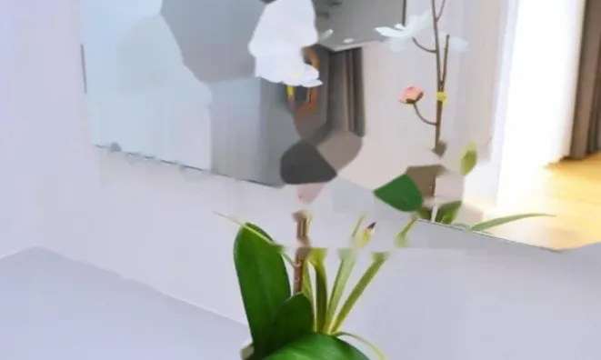 Недвижимость Дуплекс Опатия Центр: 15