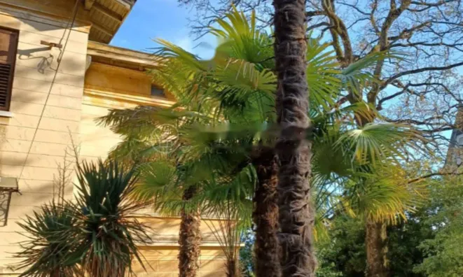 Недвижимость Апартаменты в центре Опатии: 7