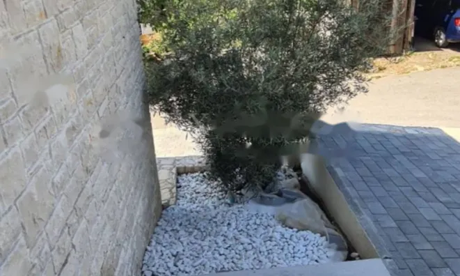 Недвижимость Многоквартирный дом Побри: 9