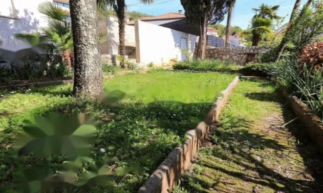 Недвижимость Четырёхкомнатная квартира Ичичи: 26