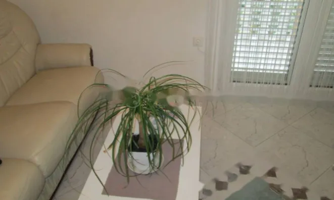 Недвижимость Четырехкомнатная квартира Оприч: 10