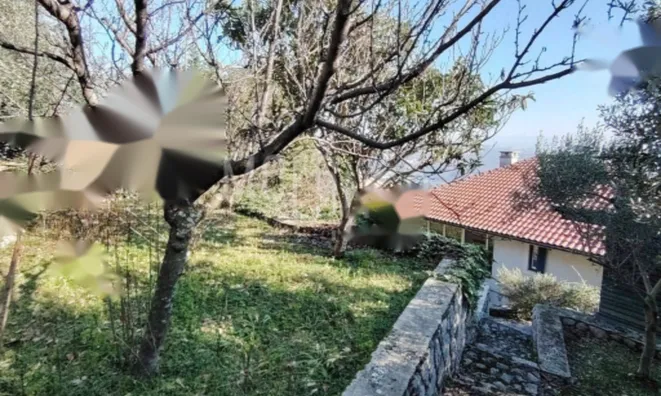 Недвижимость Семейный дом Побри, Опатия: 16