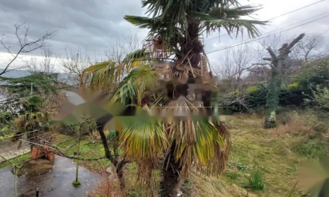 Недвижимость Трехкомнатная квартира в центре: 19