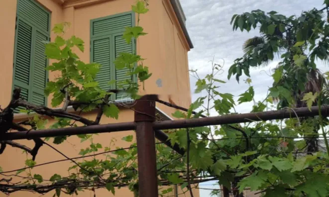 Недвижимость Двухкомнатная квартира Воложко: 6