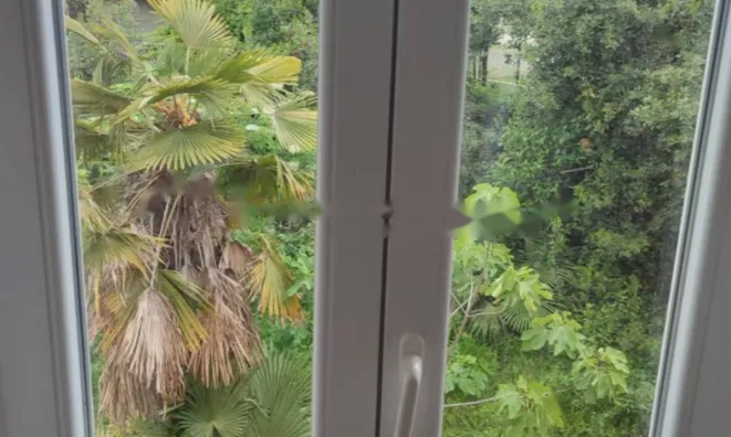 Недвижимость Двухкомнатная квартира Воложко: 36