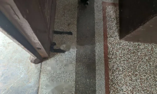 Недвижимость Двухкомнатная квартира Воложко: 39