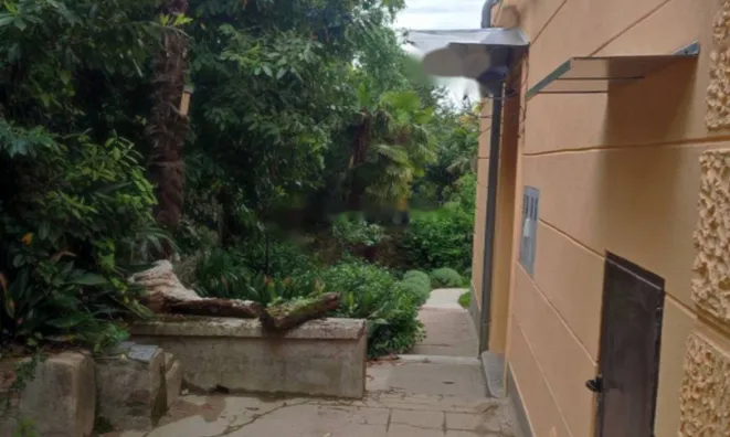 Недвижимость Двухкомнатная квартира Воложко: 48