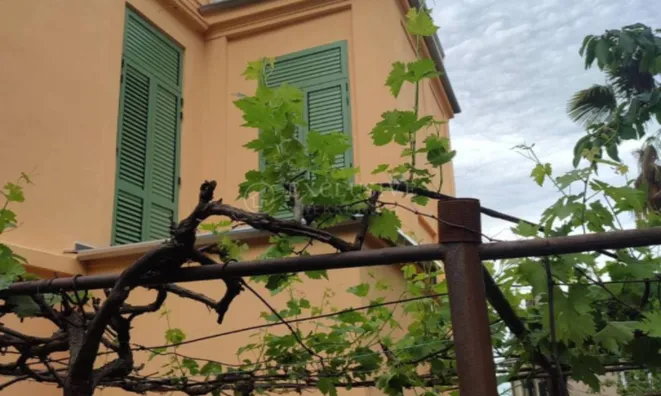 Недвижимость Двухкомнатная квартира Воложко: 52