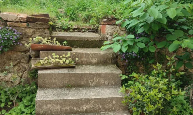 Недвижимость Двухкомнатная квартира Воложко: 55