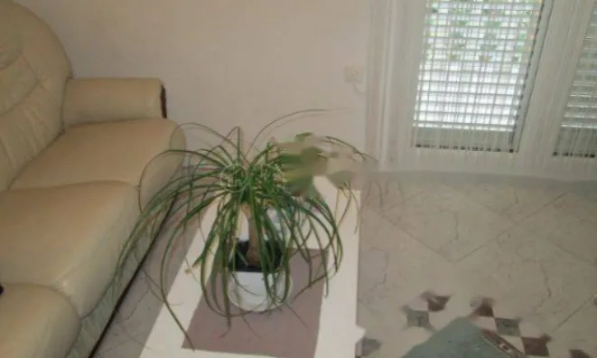 Недвижимость Четырёхкомнатная квартира в Оприче: 9