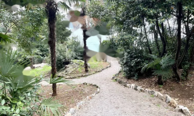 Недвижимость Трёхкомнатная квартира в центре: 11