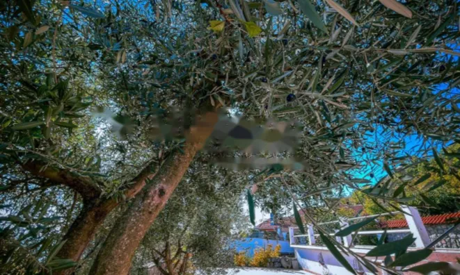 Недвижимость Дуплекс Вепринац, Опатия: 35