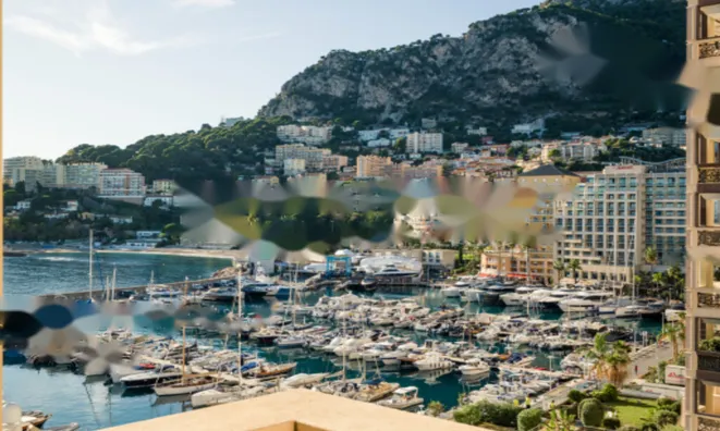 Недвижимость Apartment Monaco, Fontvieille: 2