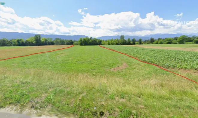 Недвижимость Земельный участок Новое Лесце: 1