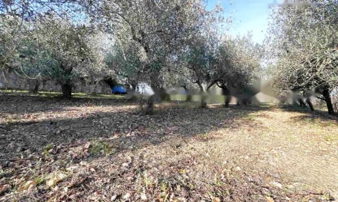 Недвижимость Двухэтажный дом в Бошамарине: 20