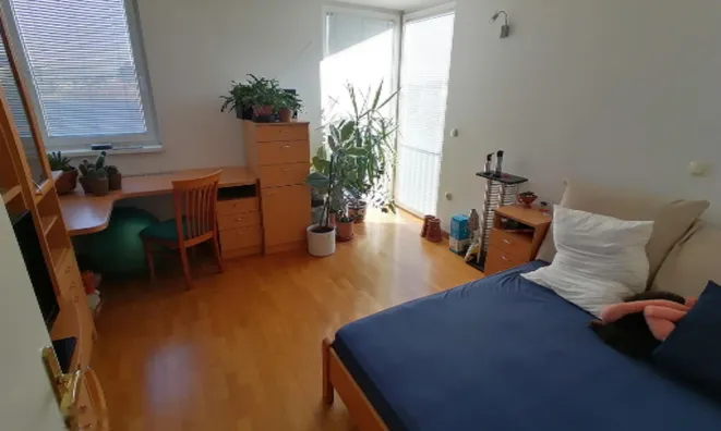 Недвижимость Квартира 4-комнатная Новый Долгий Мост: 7