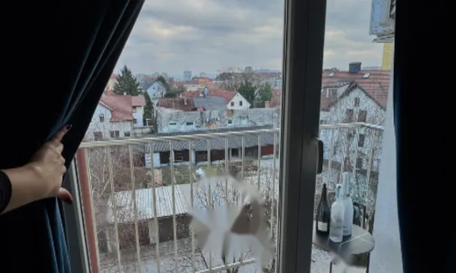 Недвижимость Трехкомнатная квартира Шишка: 14