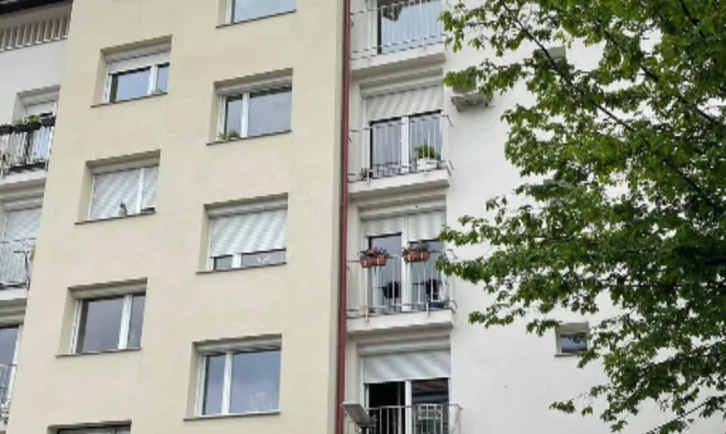 Недвижимость Трехкомнатная квартира Шишка: 16