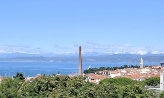 Недвижимость Трёхкомнатная квартира в Изоле: 9