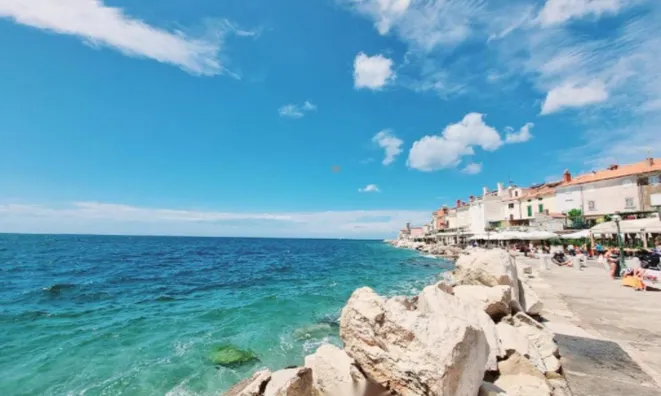 Недвижимость Квартира, 5 и более комнат Пиран: 22