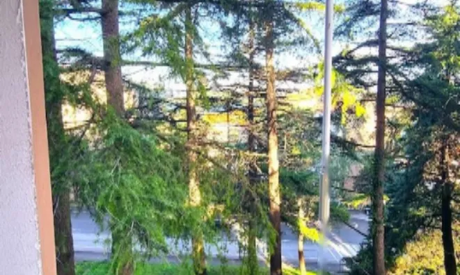 Недвижимость Четырехкомнатная квартира в Копере: 3