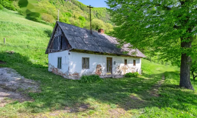 Недвижимость Усадьба и ферма Святого Юрия: 1