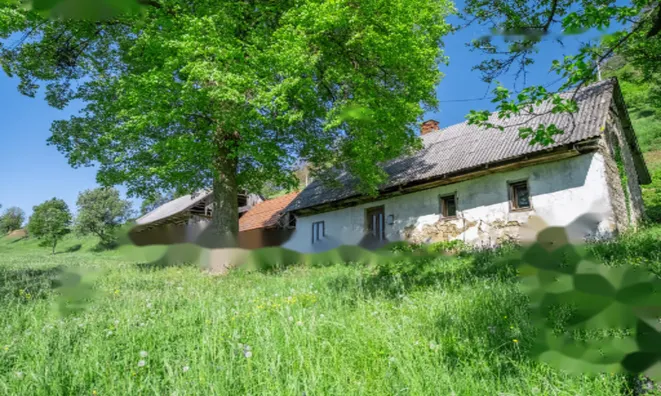 Недвижимость Усадьба и ферма Святого Юрия: 2