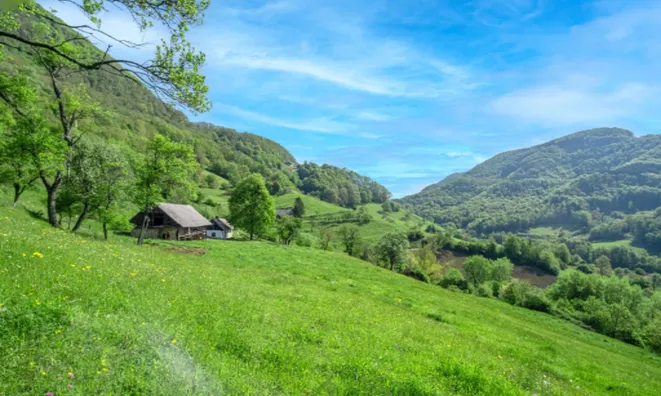 Недвижимость Усадьба и ферма Святого Юрия: 8