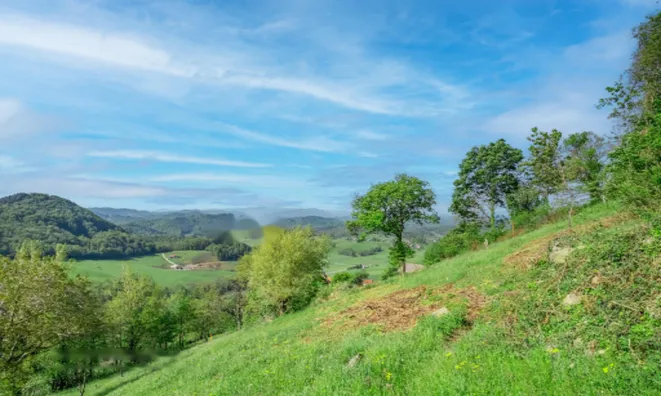 Недвижимость Усадьба и ферма Святого Юрия: 9