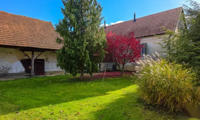 Недвижимость Поместье, ферма в Лукавцах: 7