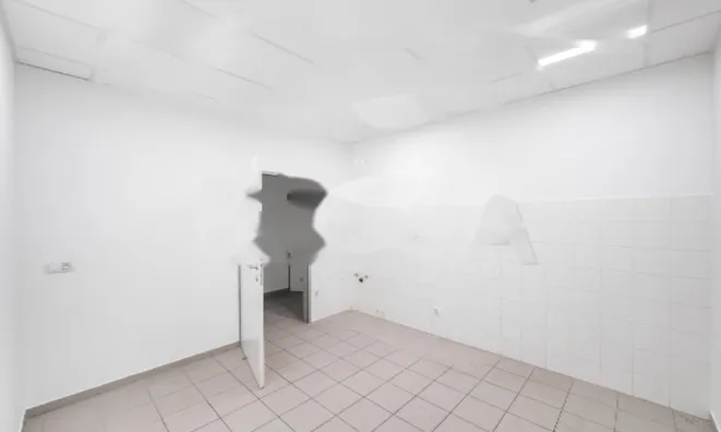 Недвижимость Коммерческое помещение Поляне: 11