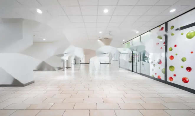 Недвижимость Коммерческое помещение Поляне: 13