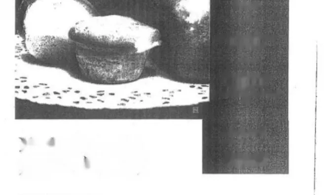 Недвижимость Коммерческое помещение Штепанско: 7