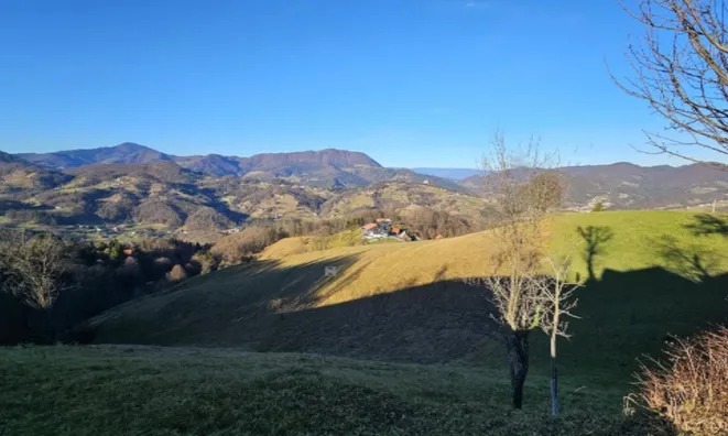 Недвижимость Дом, Плазовье: 15