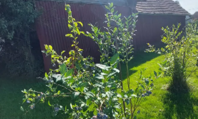 Недвижимость Дом в Вержее, Центр: 19