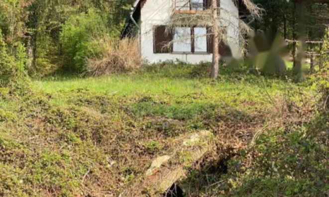 Недвижимость Дом в Подлехнике: 5