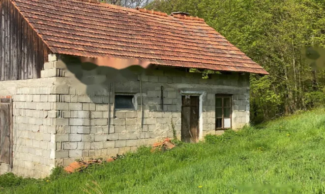 Недвижимость Дом в Подлехнике: 11