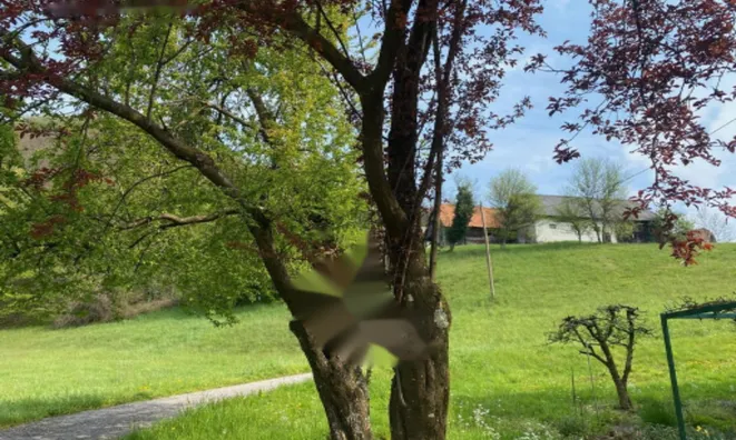 Недвижимость Дом в Подлехнике: 14