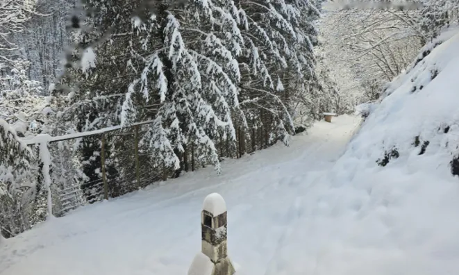 Недвижимость Дом, Мария Река: 3