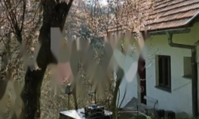 Недвижимость Дом в Нижней Речице: 2