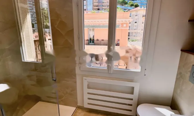 Недвижимость Apartment Monaco, La Rousse: 5