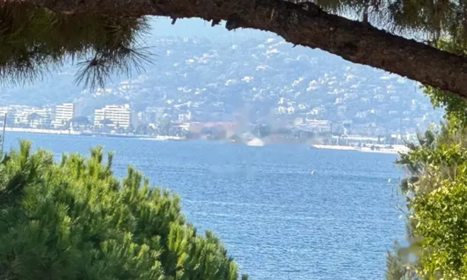 Недвижимость Apartment Pointe Croisette: 1