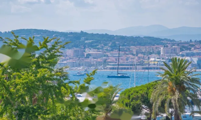 Недвижимость Apartment Pointe Croisette: 9