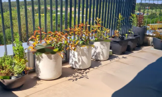 Недвижимость Однокомнатная квартира в Новой Козине: 10