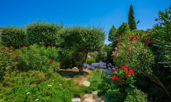 Недвижимость Maison Cannes Californie: 18