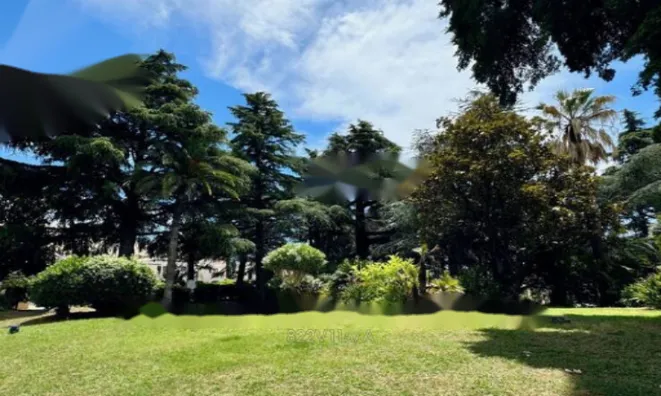 Недвижимость Apartment Cannes Croix Gardes: 13